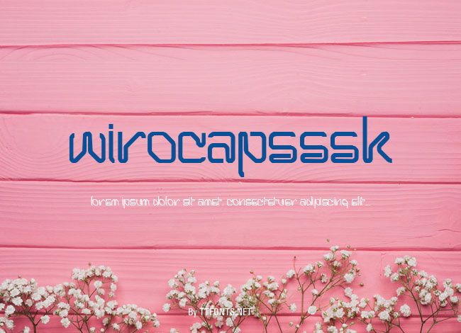 WiroCapsSSK example